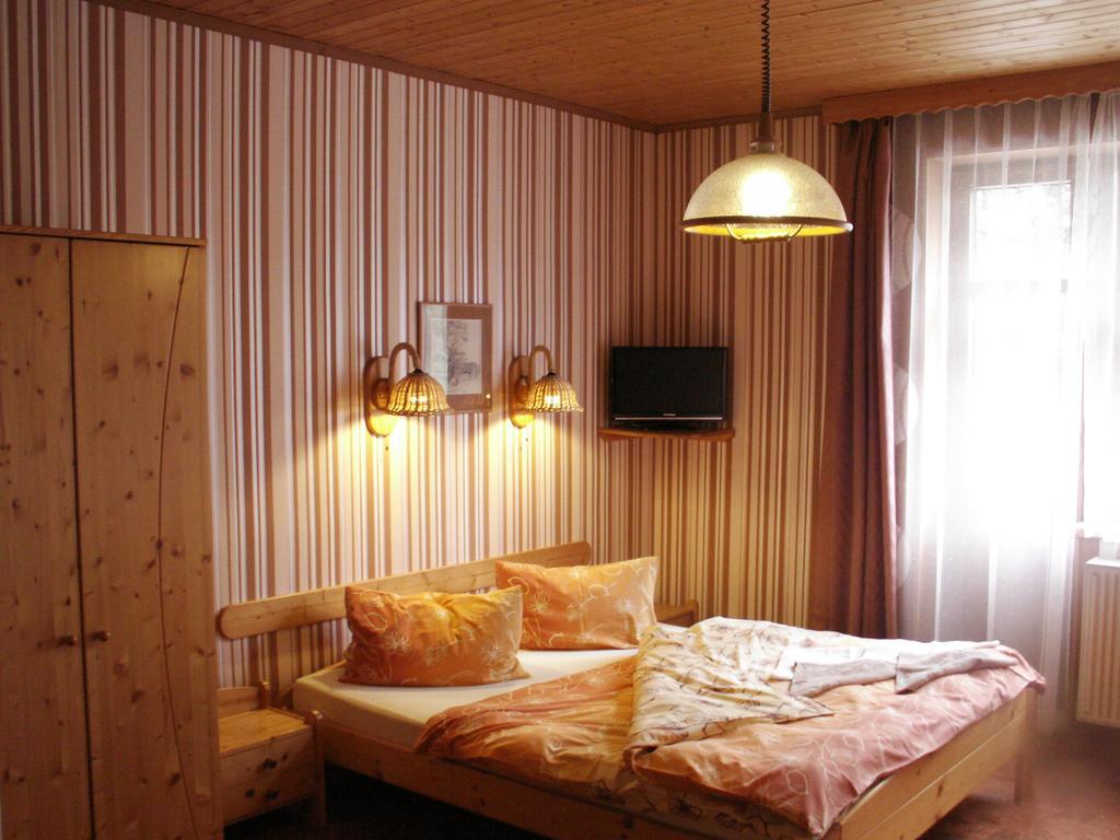 Hotel Lesni Dum Janské Lázně Rom bilde