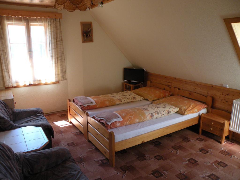 Hotel Lesni Dum Janské Lázně Rom bilde