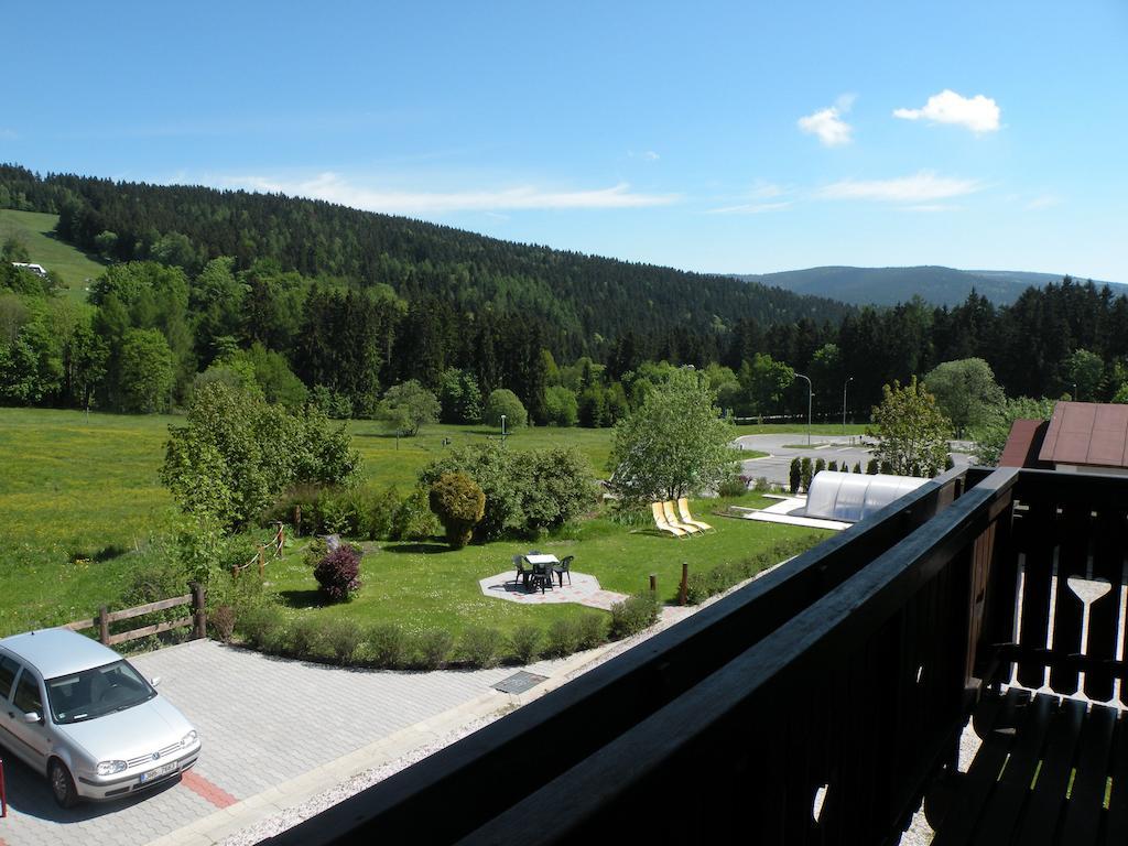 Hotel Lesni Dum Janské Lázně Rom bilde