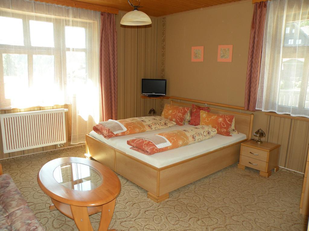 Hotel Lesni Dum Janské Lázně Rom bilde
