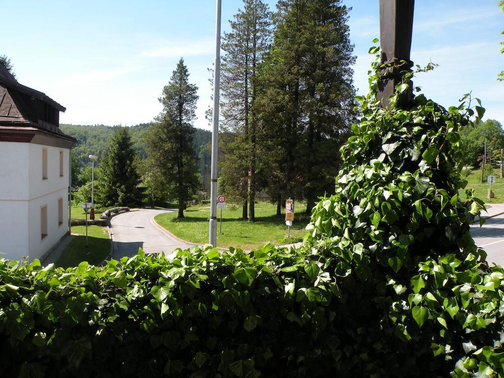 Hotel Lesni Dum Janské Lázně Rom bilde